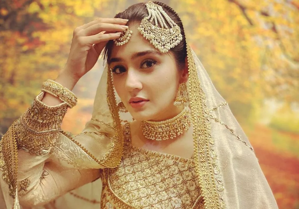 Dur-e-Fishan Saleem Biography | Age, Net Worth, Height, Family, Husband 6 image 1 90