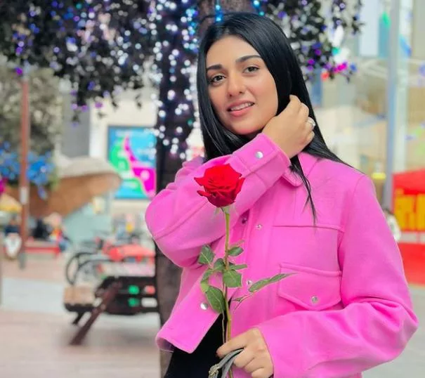 Curiosity Awaits: Bilal Abbas Khan and Sarah Khan's Impact in 'Abdullahpur Ka Devdas Across the Borders 6 Sarah Khan jpg