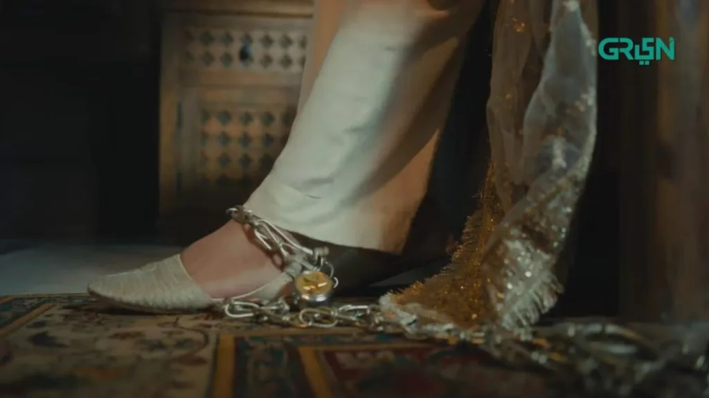 Pagal Khana Cast, Story, Real Actors and Actresses Names With Pictures 