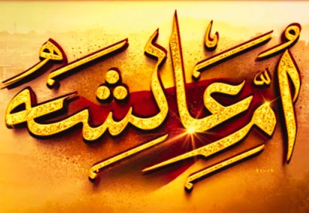 Umm-e-Ayesha Drama Cast: Nimra Khan Portrays as a Hijabi Girl 20 Umm-e-Ayesha Drama Cast: Nimra Khan Portrays as a Hijabi Girl